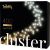 SMART LIGHTS TWINKLY CLUSTER- 400 LED 5X07M