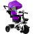 Leantoys Tricycle PRO300 Violet