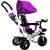 Leantoys Tricycle PRO300 Violet