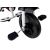 Leantoys Tricycle PRO300 Violet