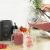 Petra PT5531MBLKVDE Glass Jug blender black Blenderis
