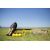SPIKEBALL Standard Set