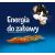 Purina Felix Fanstastic Chicken, Tomato - Wet Cat Food - 85 g