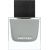 Aurora Aurora, Grey Ash, Eau De Parfum, For Men, 100 ml For Men