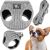 Комплект бескомпрессионной шлейки для собаки и кошки Springos PA0236, S 6-8 кг + поводок 150 см, серый