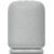 Sony wireless speaker LinkBuds SRS-LS1, grey