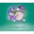 Xerjoff XERJOFF 17/17 Irisss EDP spray 100ml