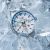 Vostok Europe Expedition North Pole Frost Limited Edition Automatic NH34-595A773