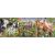 Dino panoramic puzzle 150 pcs Farm