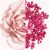 GIVENCHY Irresistible Fraiche EDT spray 80ml