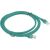 PATCHCORD KAT.5E UTP 2M ZIELONY FLUKE PASSED LANBERG 10-PACK
