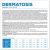 VET EXPERT Veterinary Diet Dermatosis Dog Rabbit & Potato - dry dog food - 12 kg