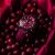 Vostok Europe Undinė CRANBERRY VK68-515A774BRSiWhite