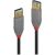 Lindy Anthra Line - USB cable - USB Type A to USB Type A - 50 cm