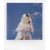 Polaroid Now Gen 3 Bundle, pebble white