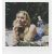 Polaroid Now Gen 3 Bundle, pebble white