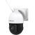 Foscam SD2X, surveillance camera (white/black, LAN, WLAN)