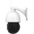 Foscam SD2X, surveillance camera (white/black, LAN, WLAN)