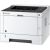 Kyocera ECOSYS P2235dn Printer Laser B/W A4 35 ppm Ethernet LAN USB (TEND)