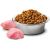 Farmina Pet Food 8010276033635 dogs dry food 2.5 g Adult Chicken