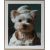 Wall art WALLY 40x50cm, baby dog