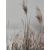 Wall art WALLY 50x140cm, rushes by the lake