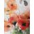 Wall art WALLY 40x40cm, poppies