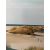 Wall art WALLY 30x90cm, sand dunes