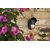 Yale Outdoor Motion Sensor Infrared sensor Wireless Wall Black