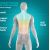 Homedics SBM-75H-EU Shiatsu Experience Body Massager + Heat