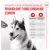 ROYAL CANIN Supplements Dog Joint & Ageing Adult - dog vitamins - 240g