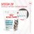 ROYAL CANIN Supplements Dog Joint & Ageing Adult - dog vitamins - 240g