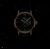 Certina DS Caimano Lady Automatic 29mm C035.007.27.127.00