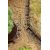Zāliena apmale 100x4.5 cm melna