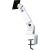Newstar TV SET ACC DESK MOUNT GREY/10-30" FPMA-D400 NEOMOUNTS