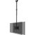Newstar TV SET ACC CEILING MOUNT DUAL/23-42" CL35-340BL22 NEOMOUNTS