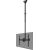 Newstar TV SET ACC CEILING MOUNT/37-70" CL35-440BL16L NEOMOUNTS