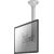 Newstar TV SET ACC CEILING MOUNT SILV./10-40" FPMA-C200 NEOMOUNTS
