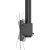 Newstar TV SET ACC CEILING MOUNT/23-42" CL35-340BL12 NEOMOUNTS