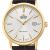 Orient Contemporary Automatic RA-AC0F04S30B