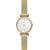 Rokas pulkstenis  Fossil Tillie Mini BQ3898 + BOX