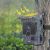 Stealth Gear trail camera Fox Solar 4K