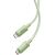 Fast Charging cable Baseus USB-C to USB-C Habitat Series 1m 100W (green)