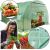 Lean Foil Tunnel Garden Greenhouse 4x2.5x2m Foil 10m² UV-4 Premium