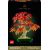 Lego Botanicals Klon palmowy bonsai (10348)