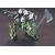Bandai HG 1/144 GRAZE CUSTOM