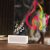 Manta SNL58RGB Stile Neon Light FLAME Damaged Box