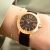 Citizen Eco-Drive EM1163-09X