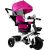 Leantoys Tricycle PRO300 Pink