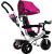 Leantoys Tricycle PRO300 Pink